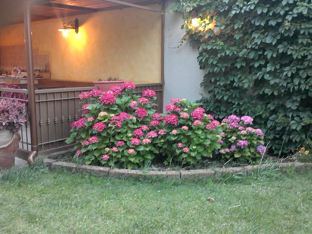Case Vacanza Villa Doria Валледория Номер фото